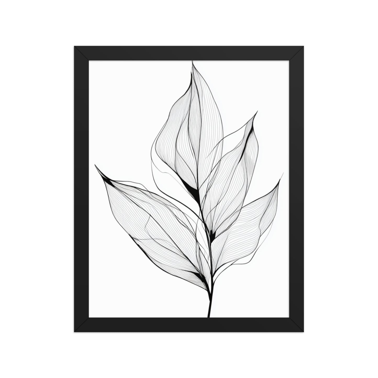 Botanical Line Art