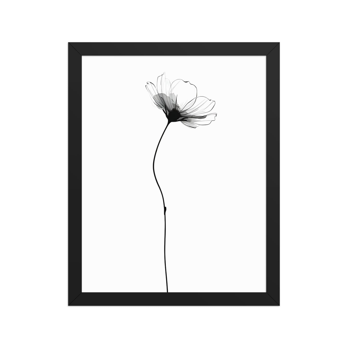 Soft flower canvas