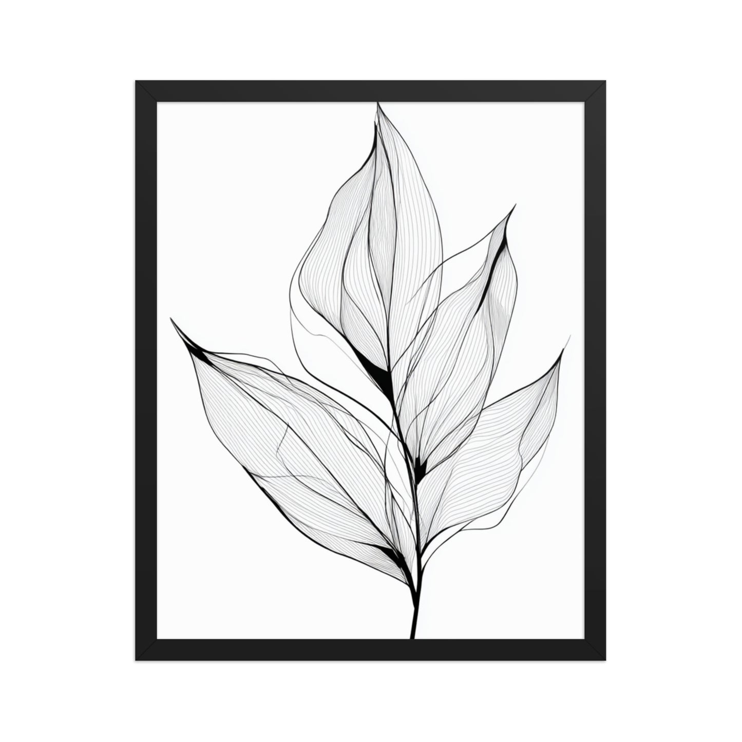 Botanical Line Art