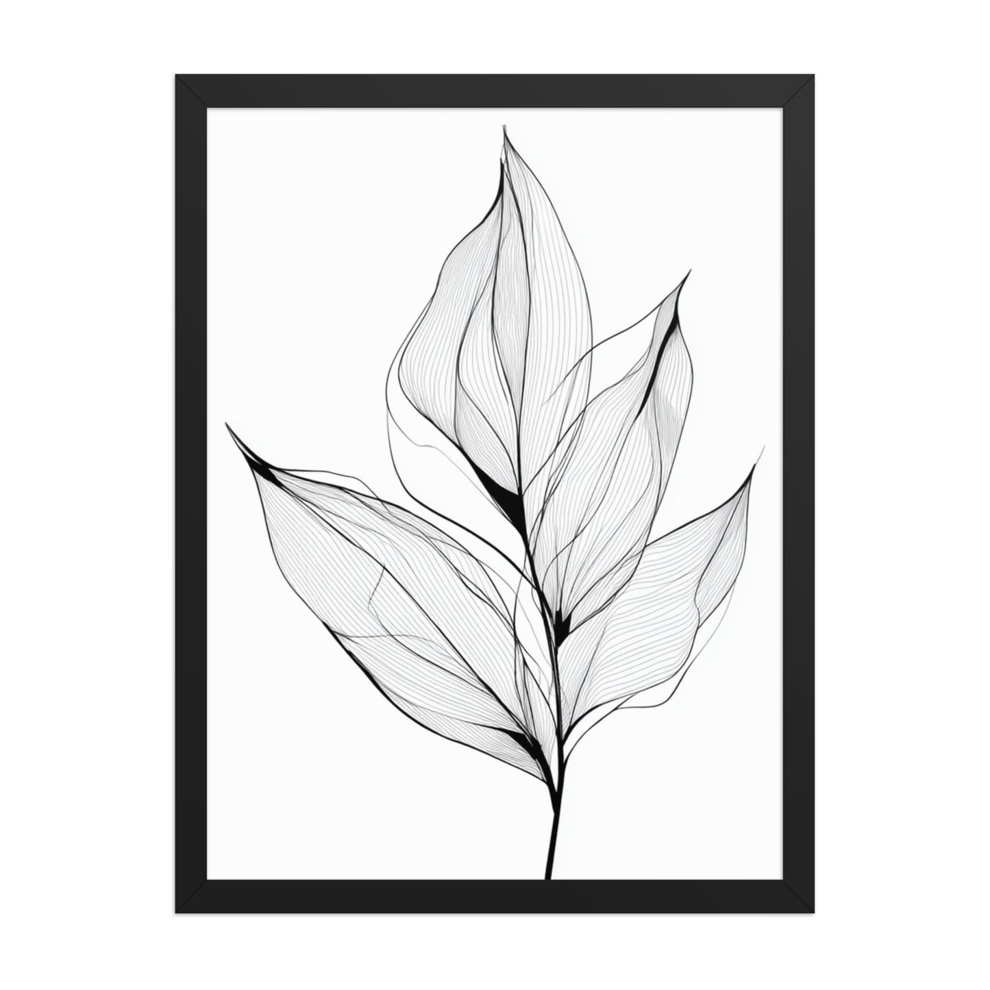Botanical Line Art
