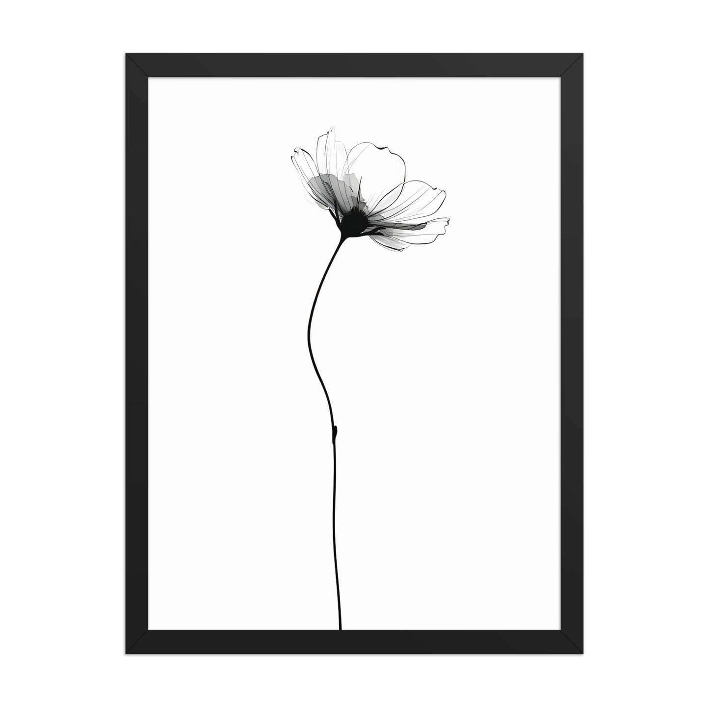 Soft flower canvas