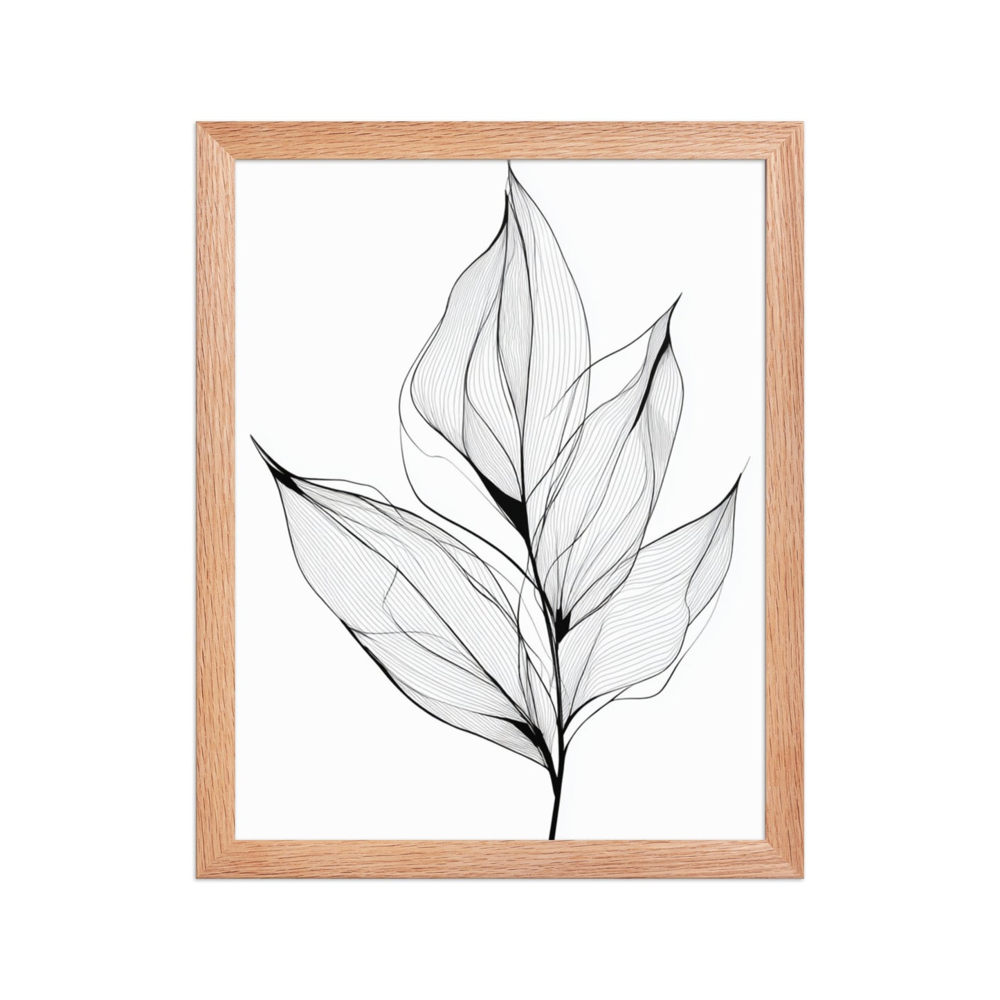 Botanical Line Art