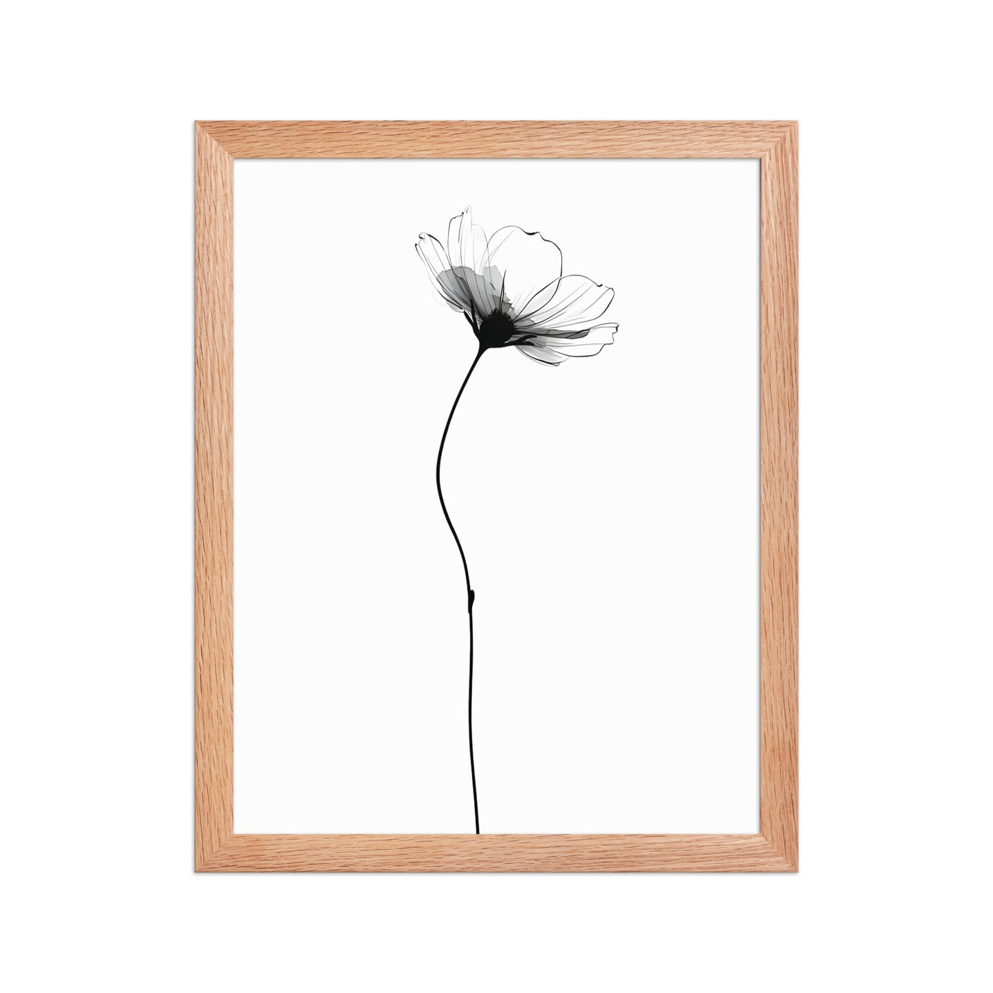 Soft flower canvas