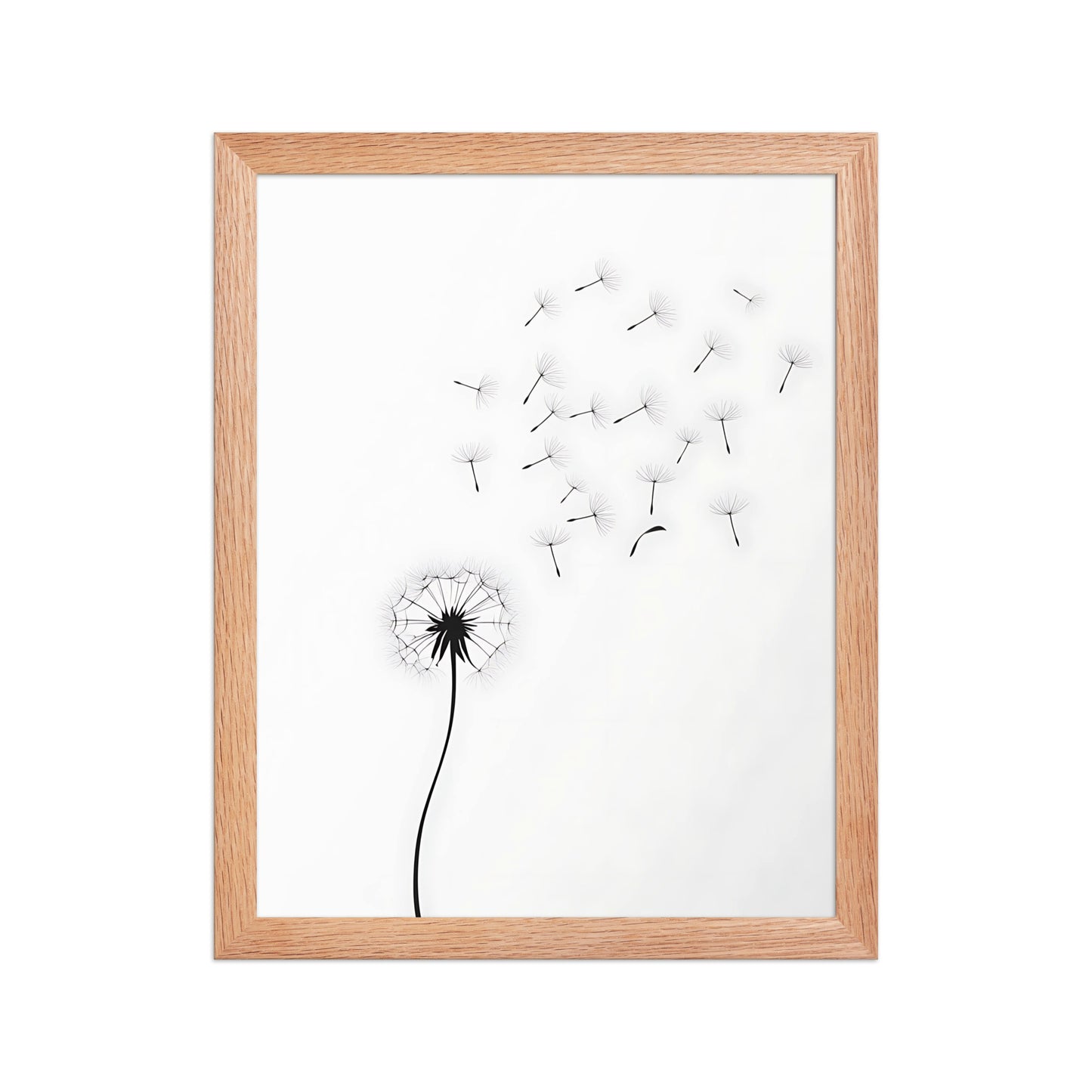 Dandelion canvas