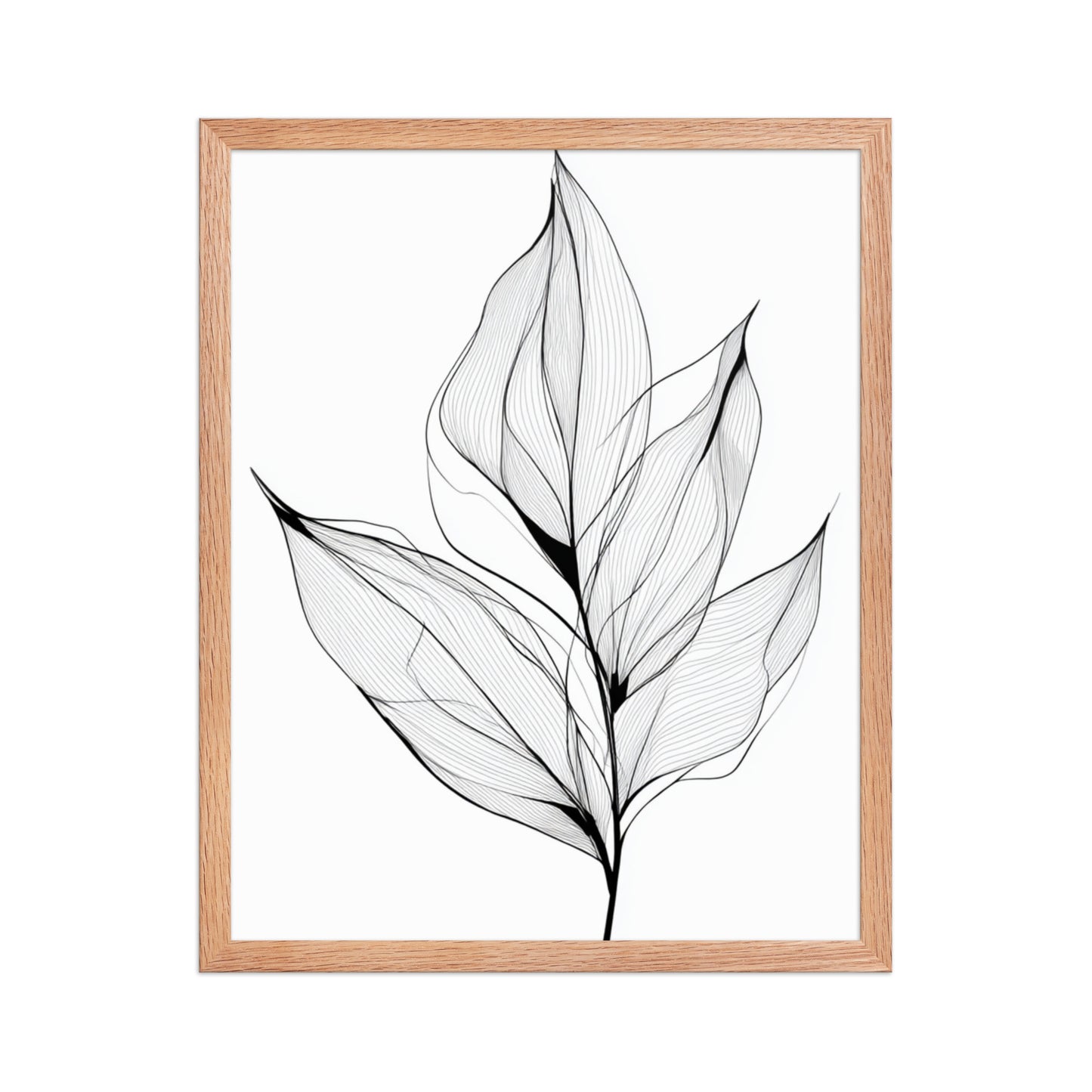 Botanical Line Art