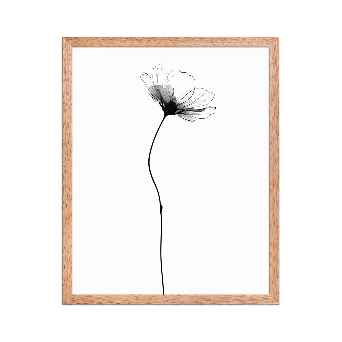 Soft flower canvas