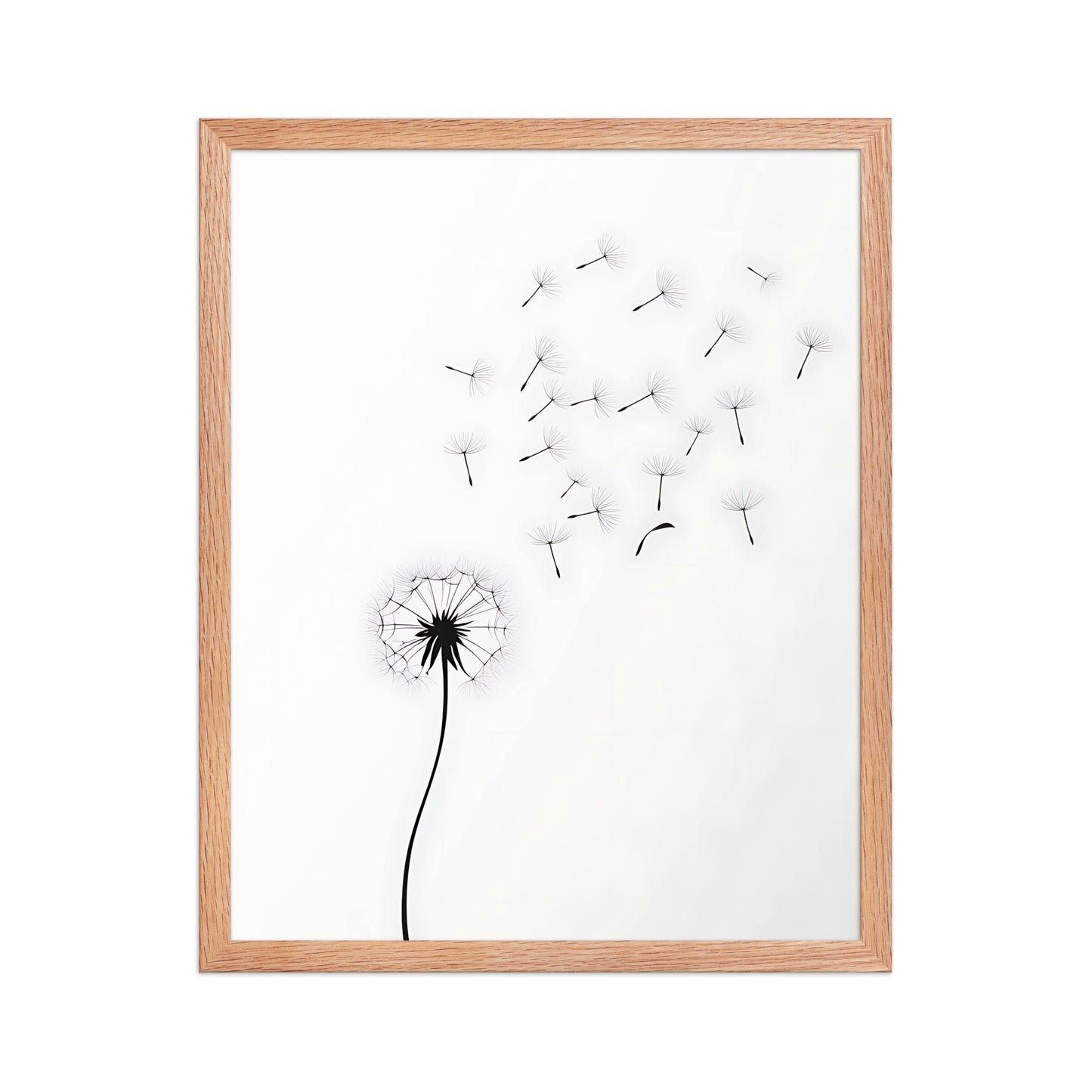Dandelion canvas