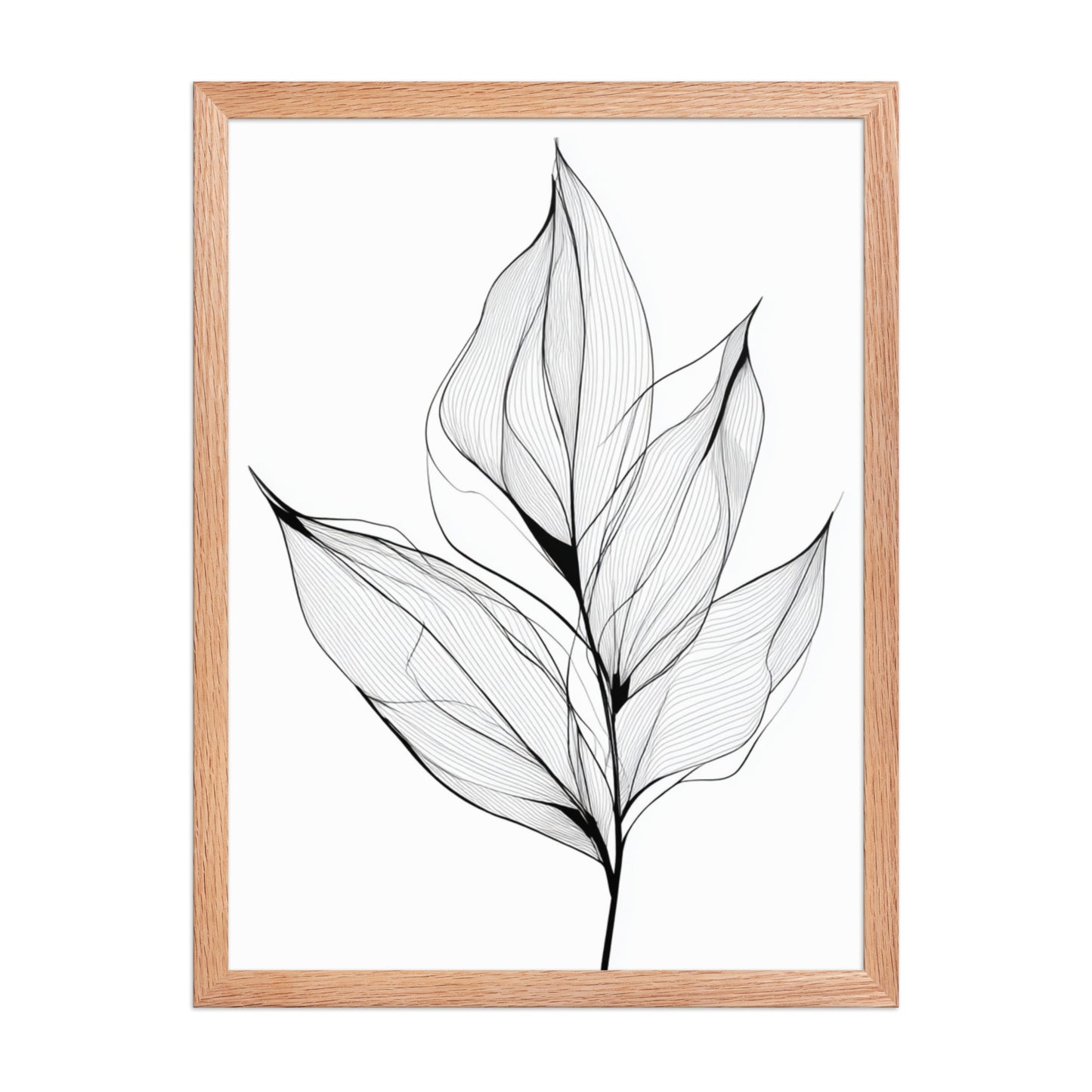 Botanical Line Art