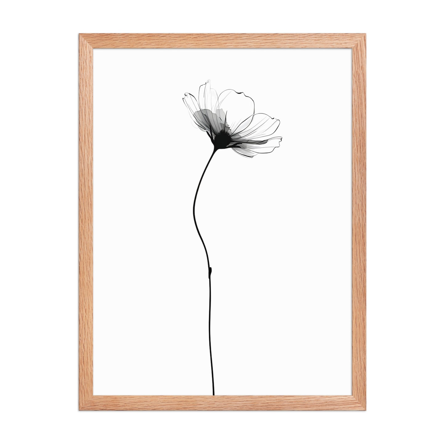 Soft flower canvas
