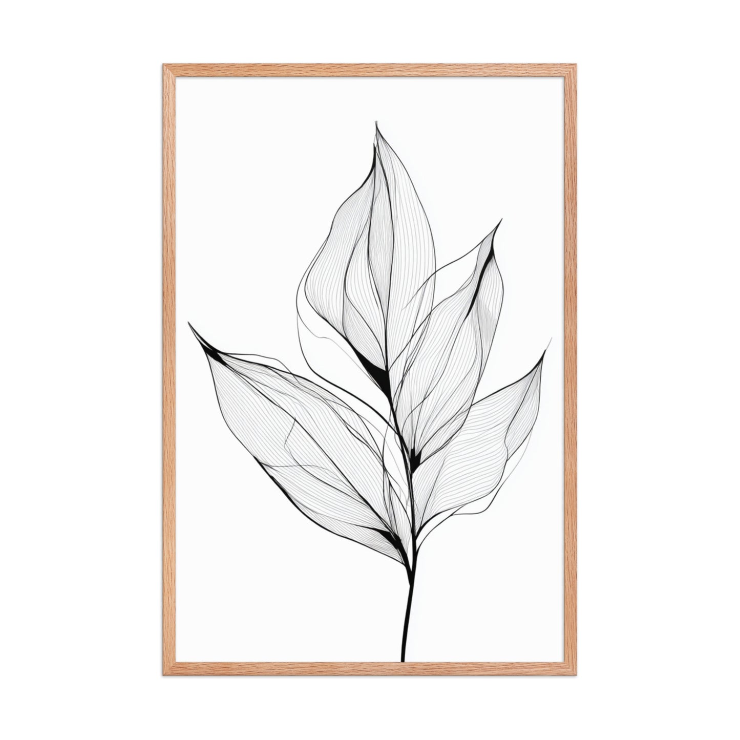 Botanical Line Art