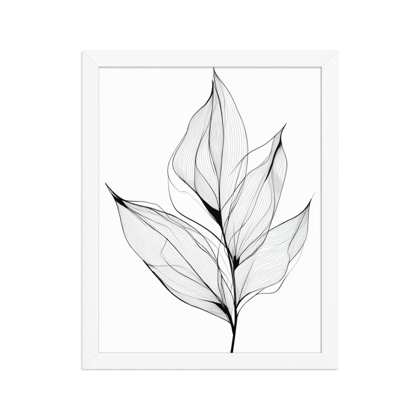 Botanical Line Art