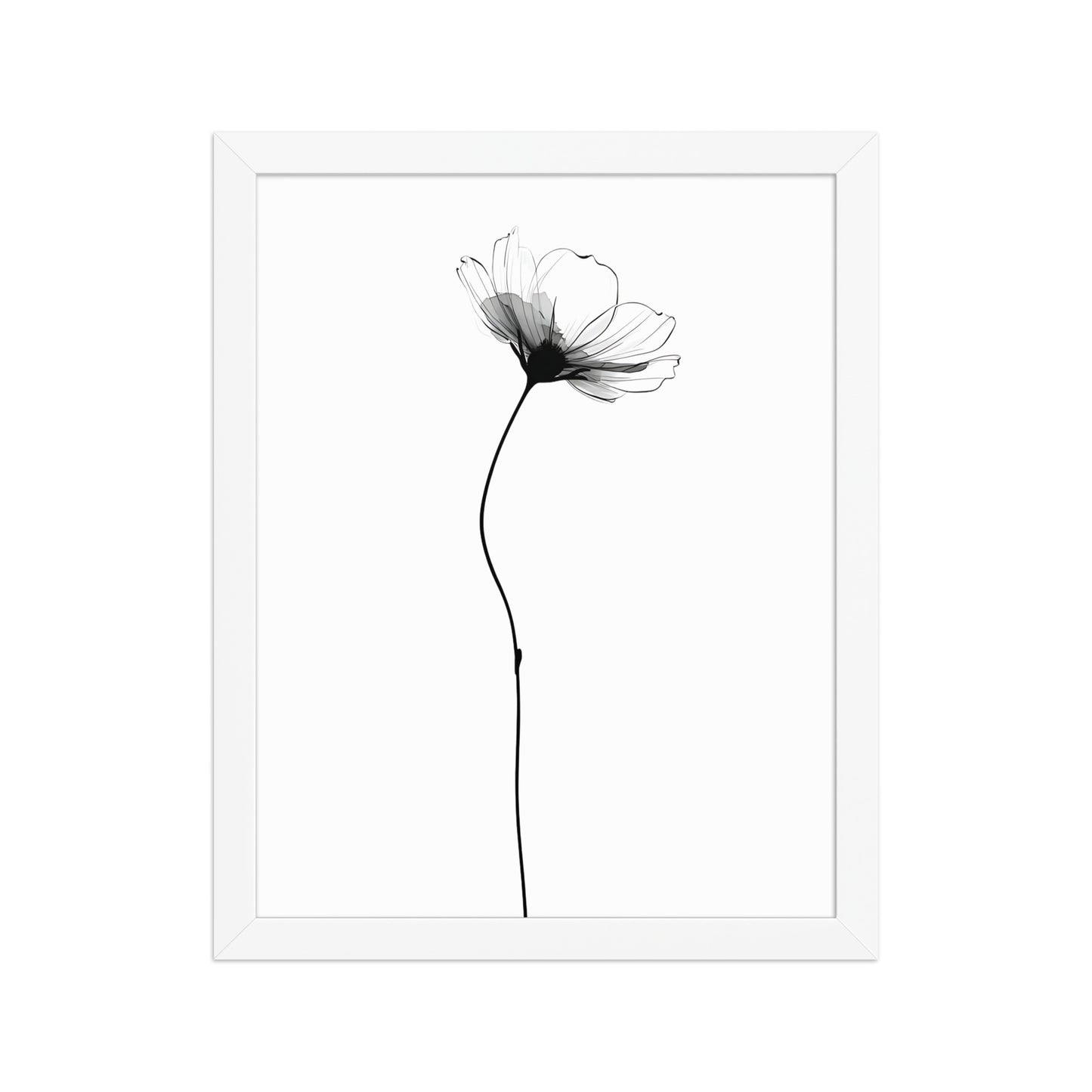 Soft flower canvas