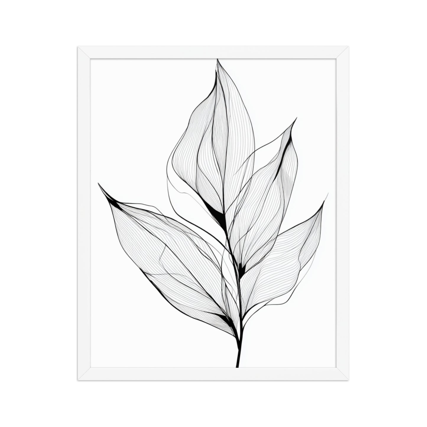 Botanical Line Art