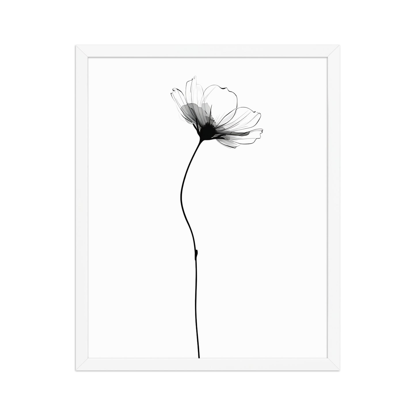 Soft flower canvas