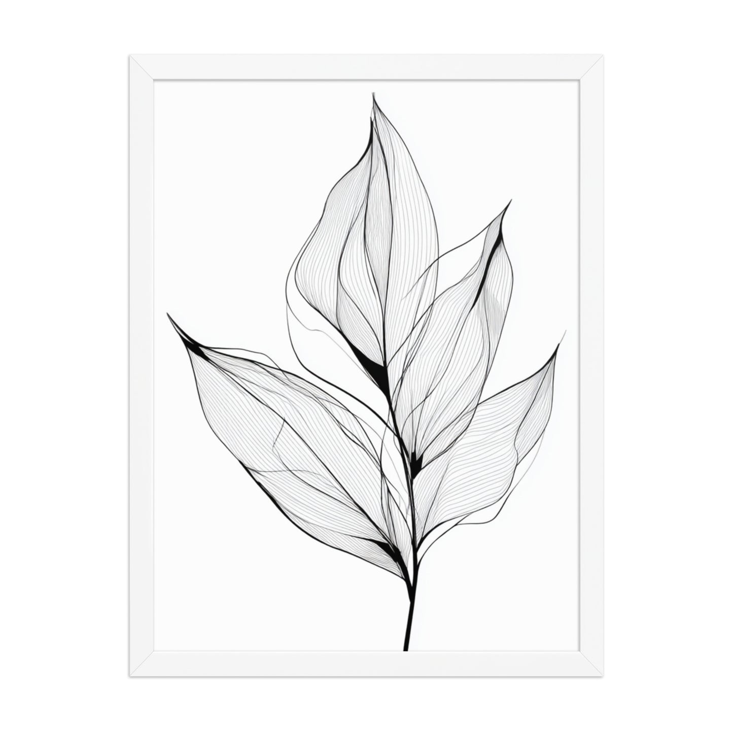Botanical Line Art